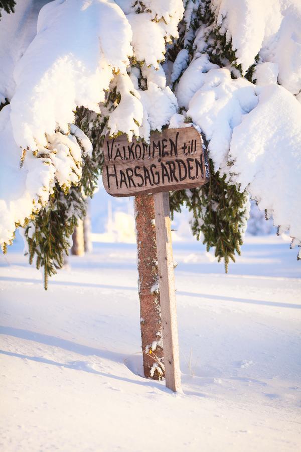 Helsingegarden Hostel Jarvso Exterior photo